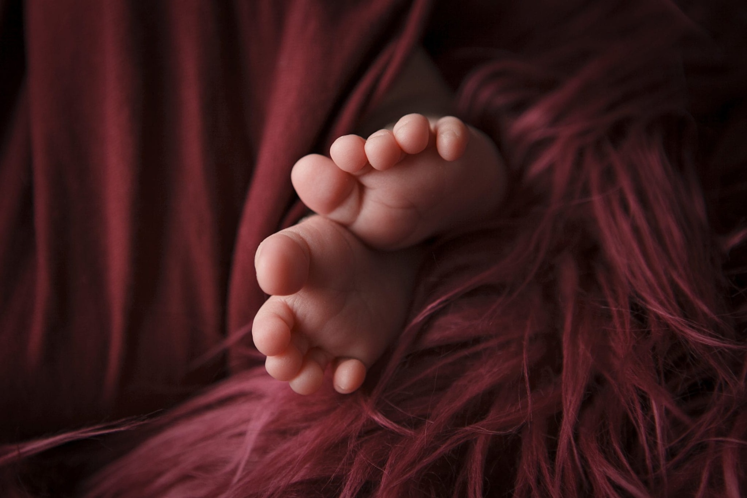 erin-young-portrait-design-maternity--newborns-2ES3A40PUV4A.jpg