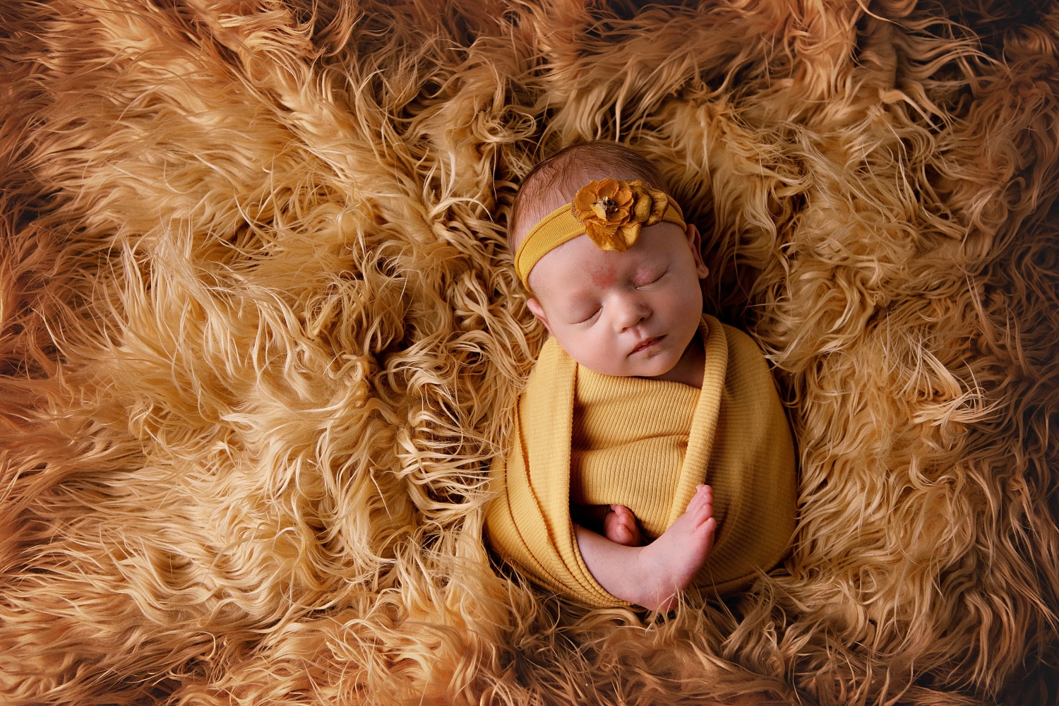 erin-young-portrait-design-maternity--newborns-6MUJT304SAPN.jpg