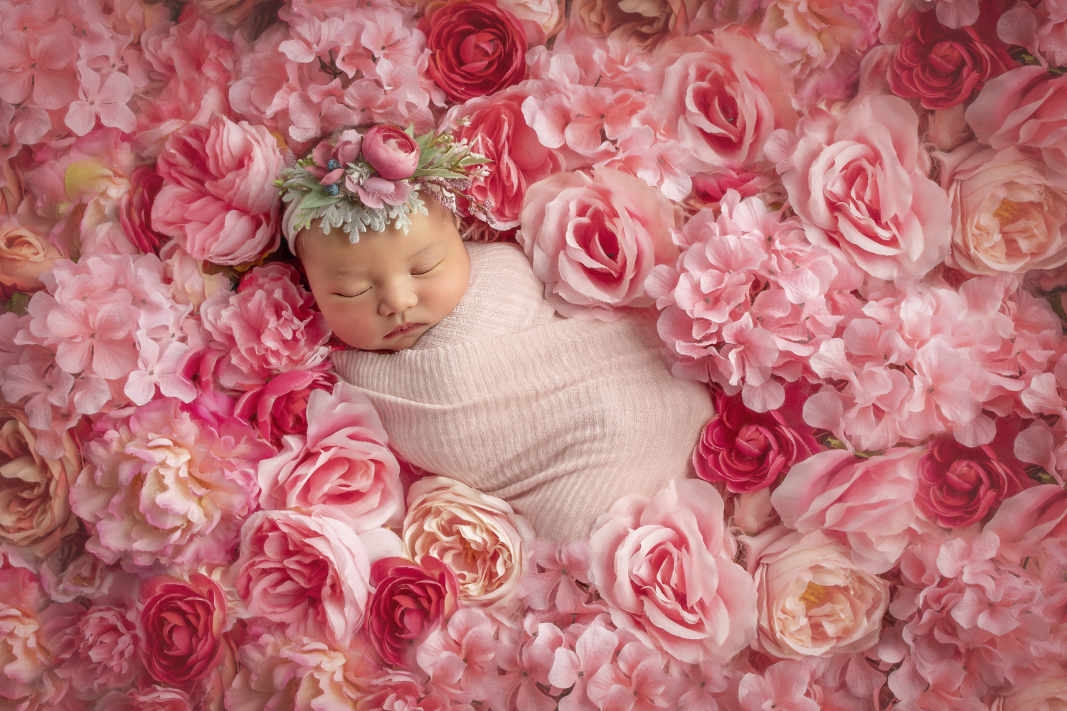 erin-young-portrait-design-maternity--newborns-7KI2QCB8JA3S.jpg