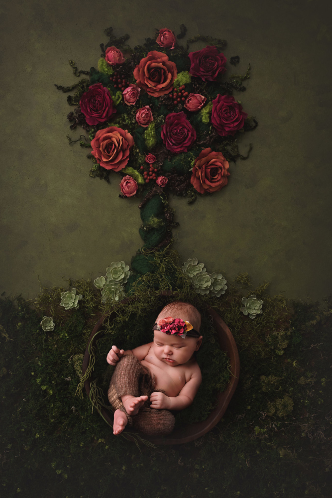 erin-young-portrait-design-maternity--newborns-E7S32DAP0V4B.jpg