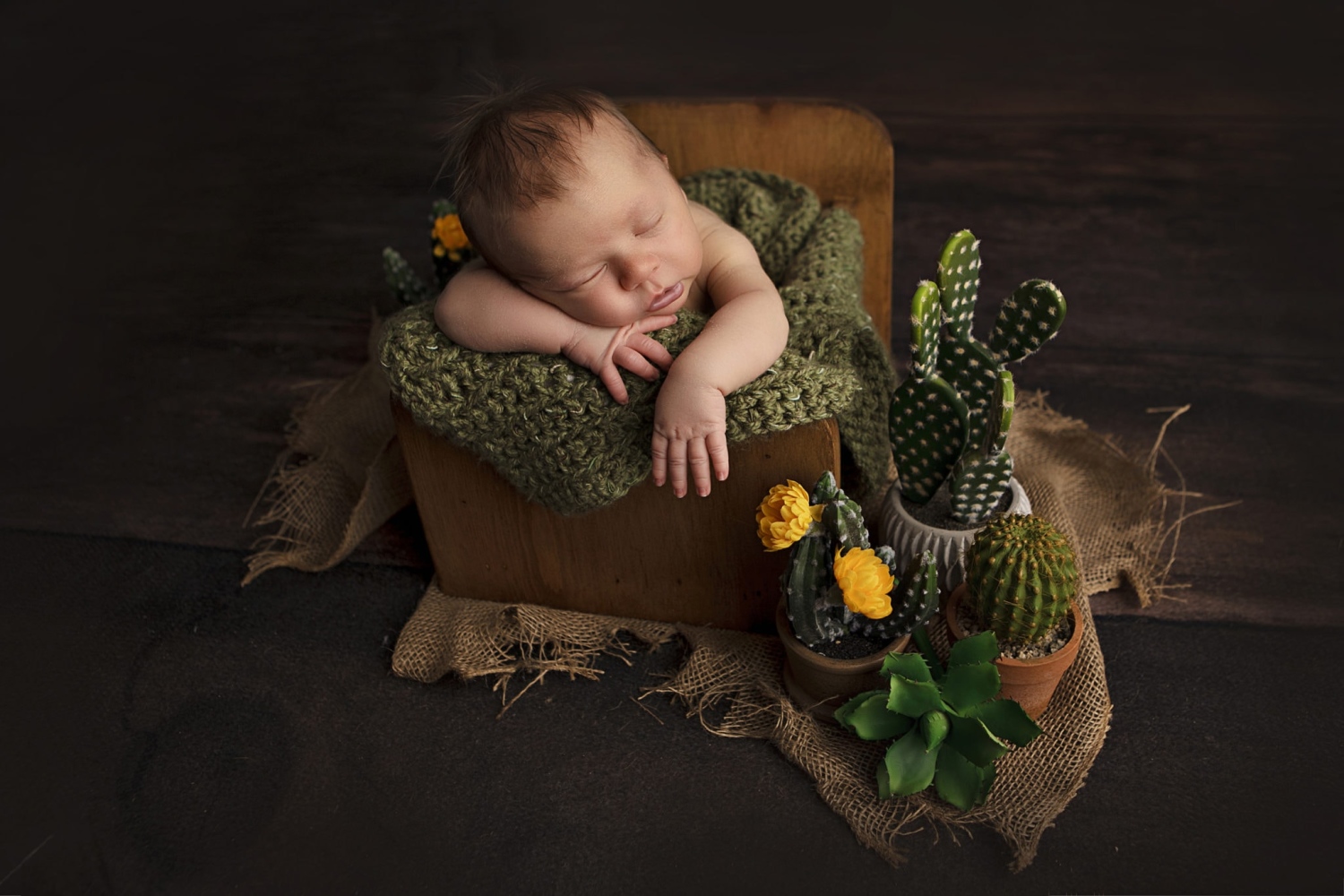 erin-young-portrait-design-maternity--newborns-E84I3BERA74A.jpg