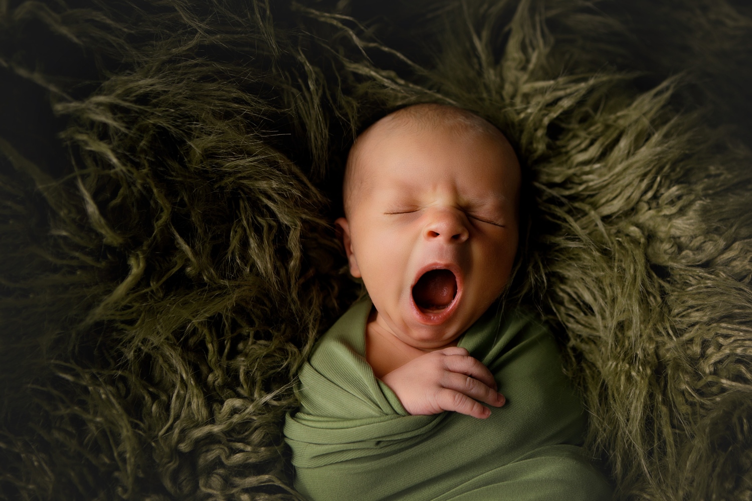 erin-young-portrait-design-maternity--newborns-M2JB20SI9IPQ.jpg